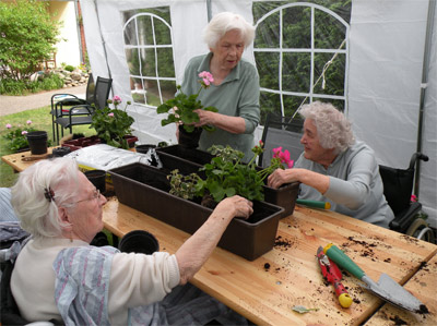 Bewohner des St. Martinshof in Hannover bepflanzen gemeinsam Balkonkästen mit Geranien.