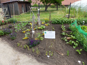 Im Hintergrund ein ruhiger Sitzplatz, weiter vorne die Hochbeete